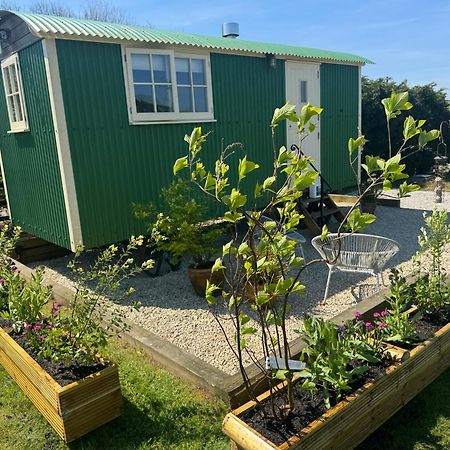Toms Hut And Robins Rest Shepherd Huts Near Wadebridge Εξωτερικό φωτογραφία