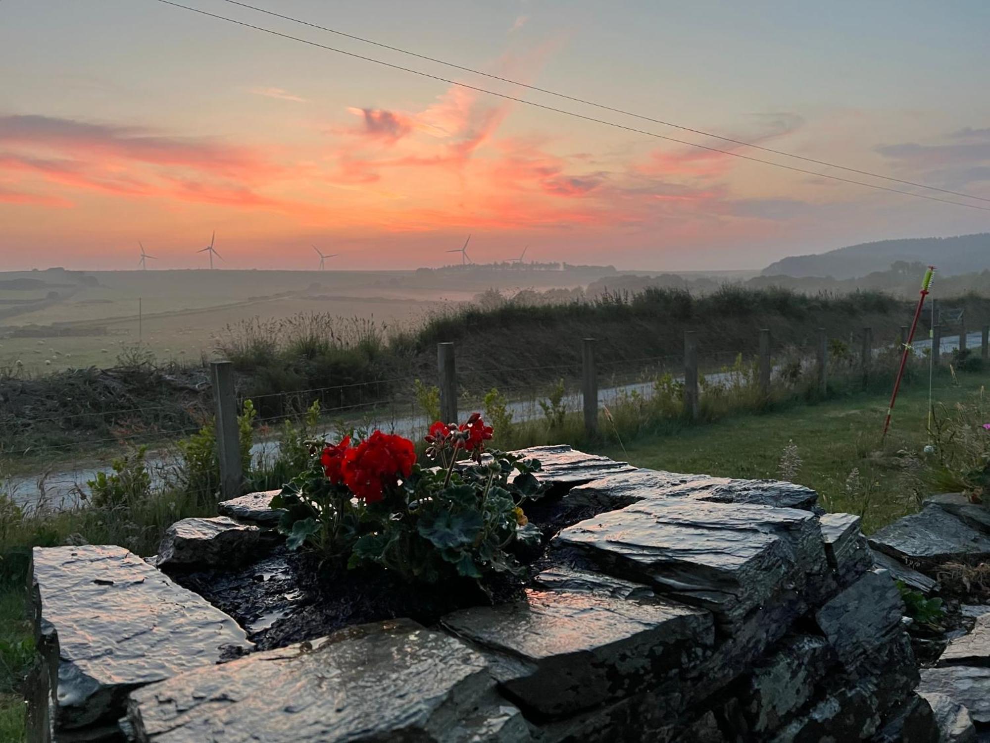 Toms Hut And Robins Rest Shepherd Huts Near Wadebridge Εξωτερικό φωτογραφία
