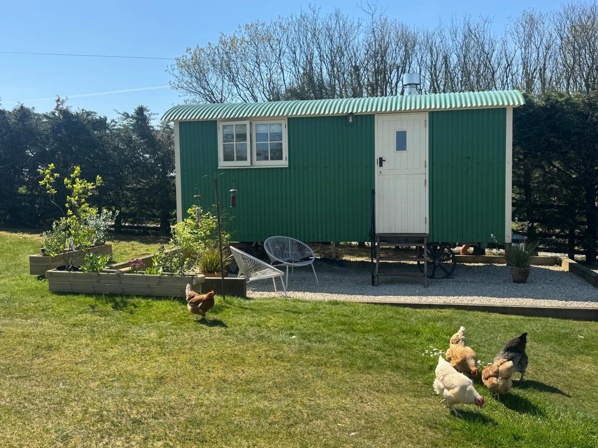 Toms Hut And Robins Rest Shepherd Huts Near Wadebridge Εξωτερικό φωτογραφία